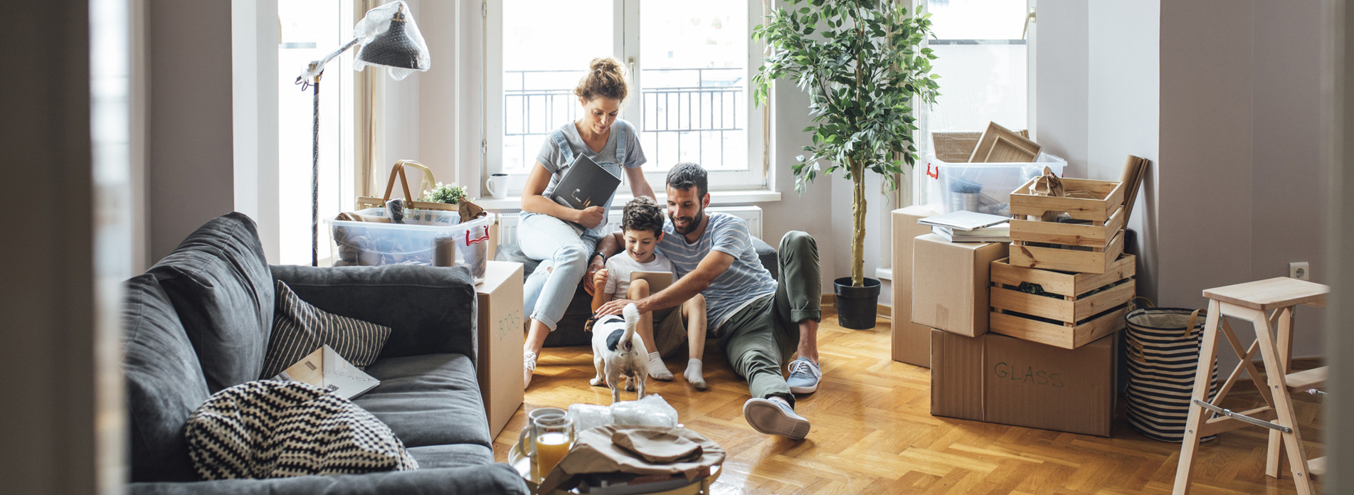 SERIGNER à SAINT GEORGES DES GROSEILLIERS, membre du réseau expert Vachette